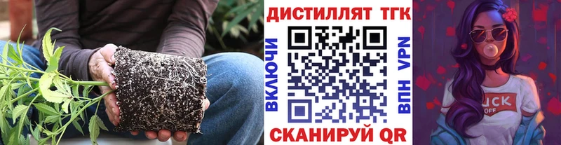 ТГК жижа Асино