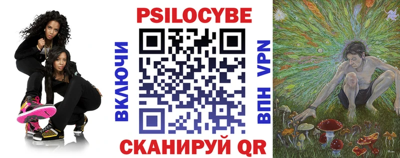 Псилоцибиновые грибы Cubensis  Асино 