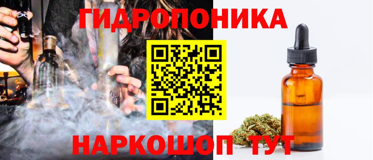 Конопля сатива Асино